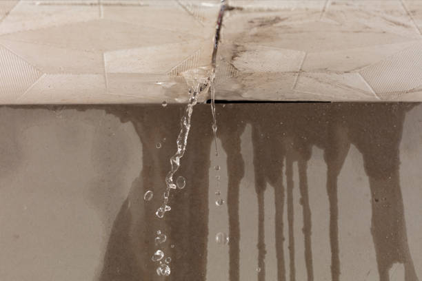 Professional Water Extraction technician working in Marion, OH